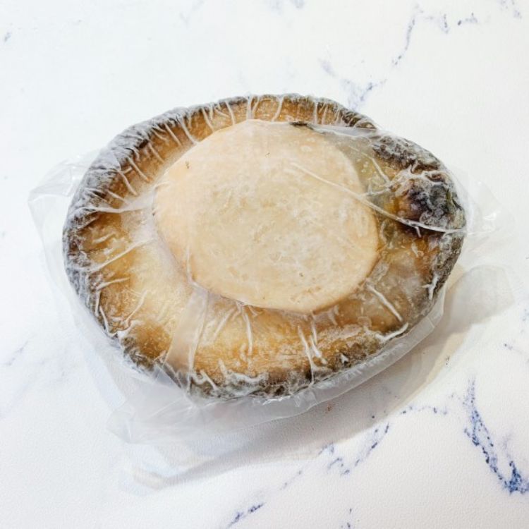 圖片 南非青邊鮑