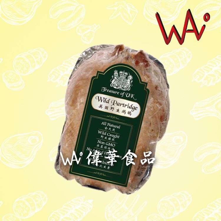圖片 英國野生鷓鴣